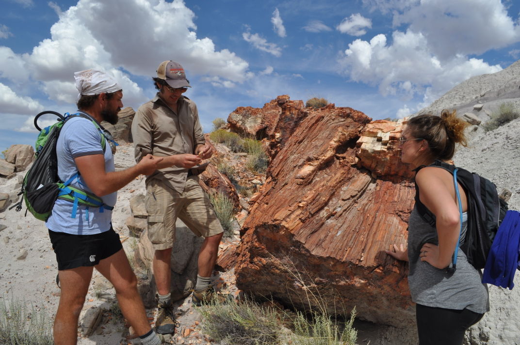Petrified Forest Field Institute